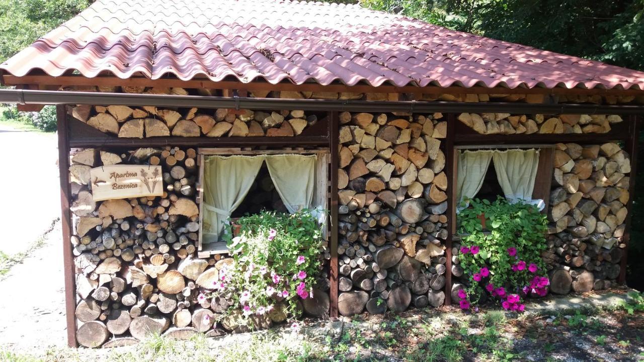 Appartment Bezenica Dobrova 外观 照片
